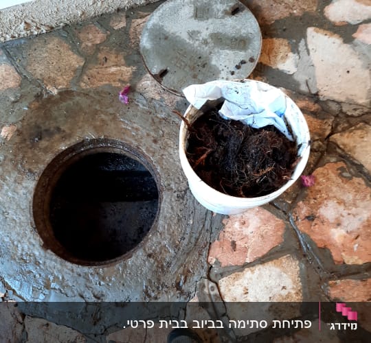 פתח ביוב פתוח ודלי עם שורשים